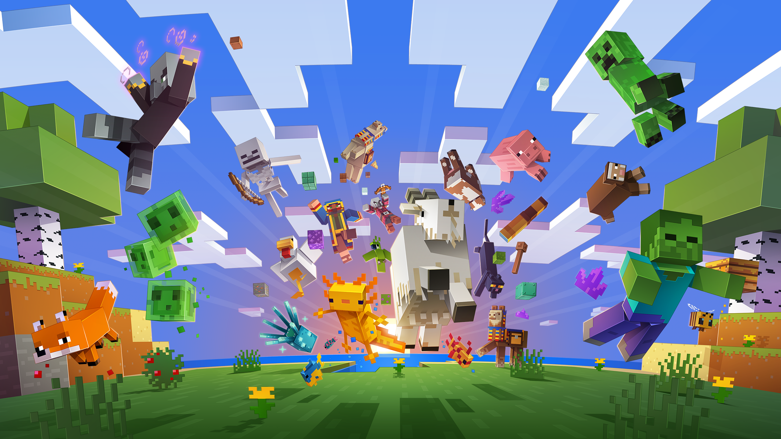 Minecraft Proxy